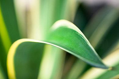 《侏罗纪世界：进化3》IGN8分：系列巅峰之作！